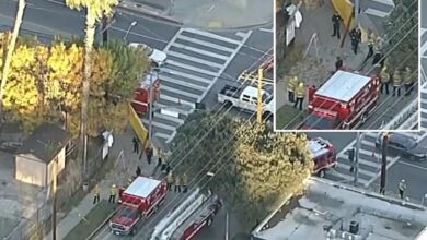 California tree trimmer dead in freak impalement accident