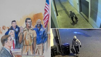 DC pipe bomb suspect admits to planting devices outside DNC, RNC: sources