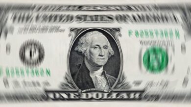 Dollar Finds Support from Higher T-Note Yields