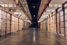Felonies And Violent Crimes-Increasing Part Of Parole And Probation Caseloads