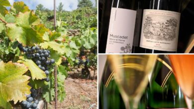 Fine wine prices slide for third year in a row as tariffs and stocks sap demand