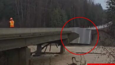 Flood emergency declared as Montana creek swallows bridge as it collapses