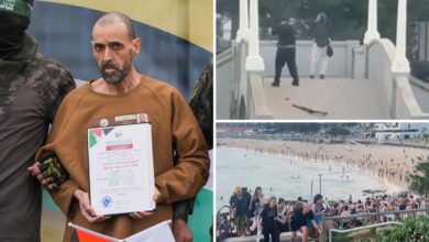 Former Hamas hostage warned leaders of rising antisemitism months before deadly Bondi Beach shooting