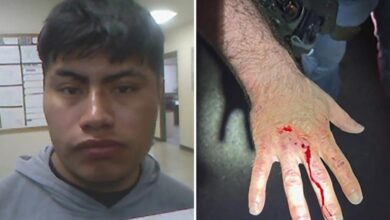 Illegal immigrant bites ICE officer, draws blood while resisting arrest in Tullos, Louisiana