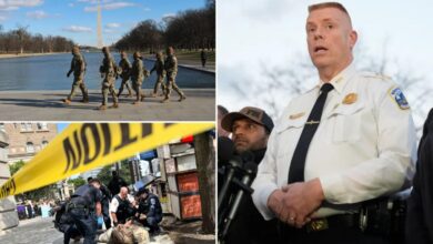 Jeffery Carroll named interim DC police chief days after agency accused of fudging crime data