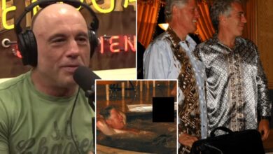Joe Rogan rips Bill Clinton saying someone is being ‘protected’ after Epstein drop