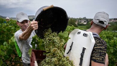 Labor abuses, tariffs cloud the sector