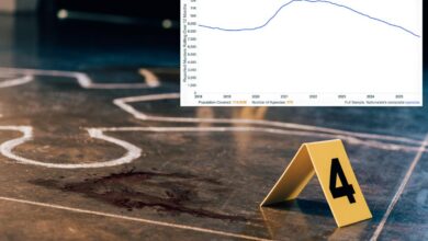 Murders in US are down nearly 20% — likely the largest single year drop ever