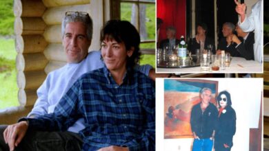 Nearly 2 dozen newly-released Jeffrey Epstein files vanished from Justice Department website