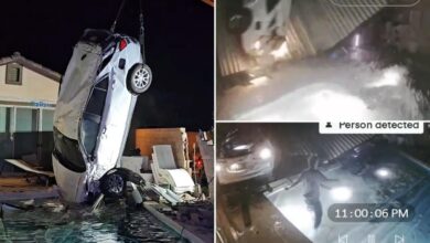 Nevada car crash tosses vehicle airborne, driver lands in backyard pool