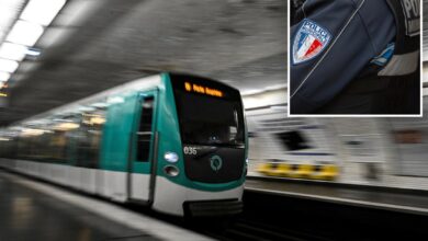 Police detain man after 3 women stabbed in Paris center