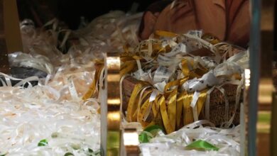 Pope denounces ‘antisemitic violence’ of Sydney attack as he thanks Christmas donors