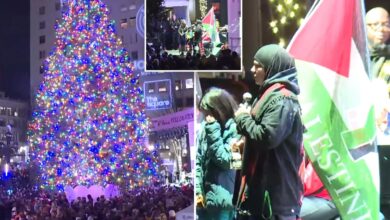 Portland sparks outrage for city’s ‘tree’ lighting ceremony: ‘They can’t even say Christmas tree’