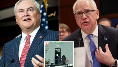 Powerful House panel to investigate Minnesota fraud: ‘Cannot be swept aside’