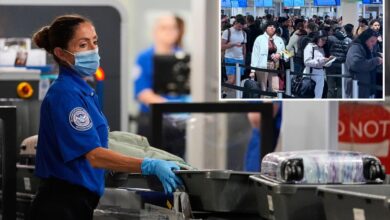 Record-breaking 3.13M passengers screened at airports on Sunday after Thanksgiving