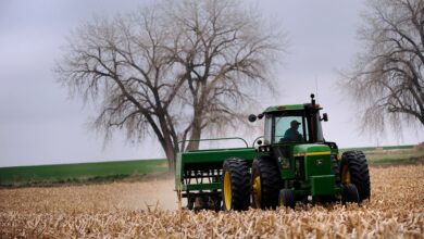 Report finds Colorado businesses overwhelmingly see tariffs as negative