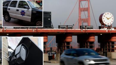 San Francisco’s Flock surveillance cameras targeted by lawsuit