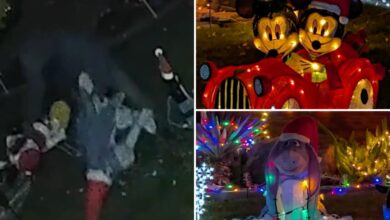 San Jose home’s Disney Christmas decorations stolen