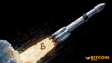 SpaceX Moves M In Bitcoin Ahead Of Massive IPO