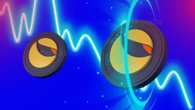 Why is Terra Classic (LUNC) Price Surging Today? Up By 22%