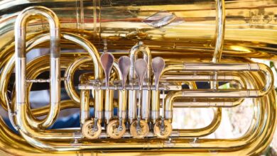 The Perfect Tuba: How Band, Grit, and Community Build a Better Life (with Sam Quinones)