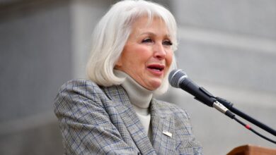 Tina Peters Asks Colorado Appeals Court To Recognize Trump’s Pardon