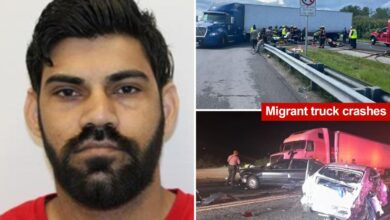 Truck driver charged with killing newlyweds in horror crash is illegal migrant: feds