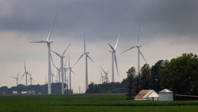 Trump ban on wind power projects overturned by federal judge
