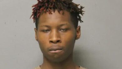 Violent Chicago robbery suspect allegedly molested young girl