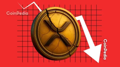 Analyst Reveals Whether XRP Price Could Ever Fall Back to 