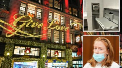 Woman stabbed in NYC Macy’s was going off ‘mom’s instinct’ while fighting off homeless attacker