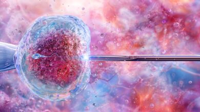 IVF treatments for same-sex couples to be covered by Aetna in national settlement