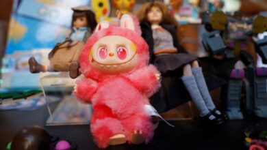 From Labubus to the Louvre heist: The viral moments that defined 2025