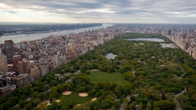 2 robbed of cell phones in pair of NYC stick-ups down block from Central Park: cops