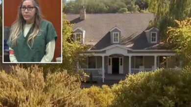 California ‘Party Mom’  hosted parties where teen girls were treated like ‘sex objects’