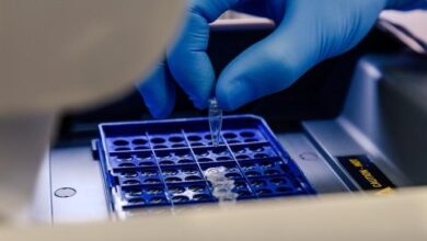 Chromosome Rearrangements Add A New Layer Of Complexity To Genetic Analysis