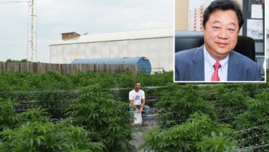 Deadly Oklahoma weed shootings expose network tied to New York money, China: report