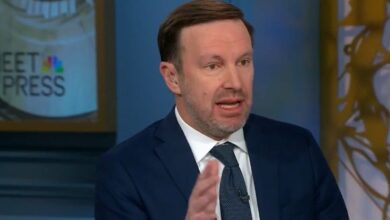 Democrats Are Going To Hit ICE Where It Hurts The Most