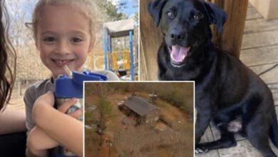 Florida boy Johnathan Boley found dead after he went missing with his dog in Alabama on New Year’s Eve