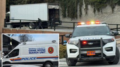 Gun-wielding goons take off with boxes of Apple loot during brazen Long Island heist