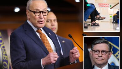 House extends Obamacare subsidies, as Senate floats compromise bill