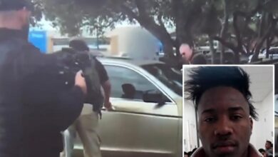 Illegal Cuban migrant caught on video ramming ICE vehicles in Texas