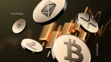 Here Are the Top Altcoins to Watch Next