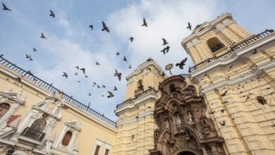 Locations Galore, Building Local Talent Base