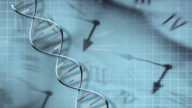 Long life in your family tree? Study suggests longevity is inherited