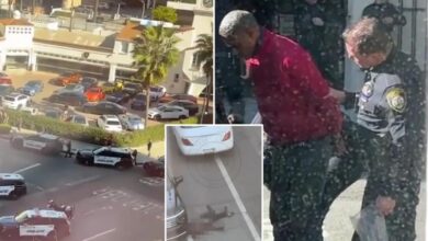 Man killed in horror Beverly Hills attack by lunatic driver: cops