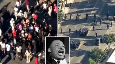 Man stabbed, officer assaulted after brawl erupts at LA’s MLK Day Parade: cops, report