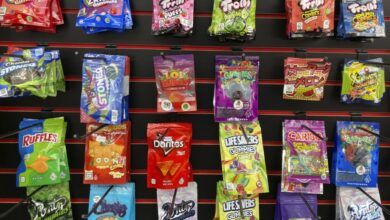 Measles, ChatGPT, weed, dentist dogs: Morning Rounds