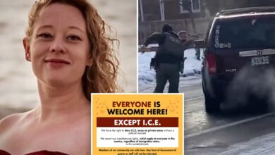 Minnesota activist group ‘Monarca’ training civilians to follow ICE agents and is ramping up activities: ‘showing in force’