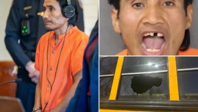 ‘Monster’ rock-thrower who fractured skull of 8-year-old girl on school bus is an illegal migrant from Mexico: DHS